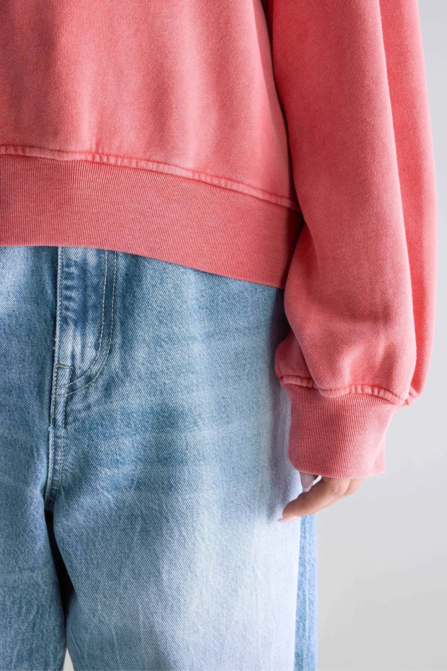 Bw252309 T1509 Filosa T1509 Sanguine