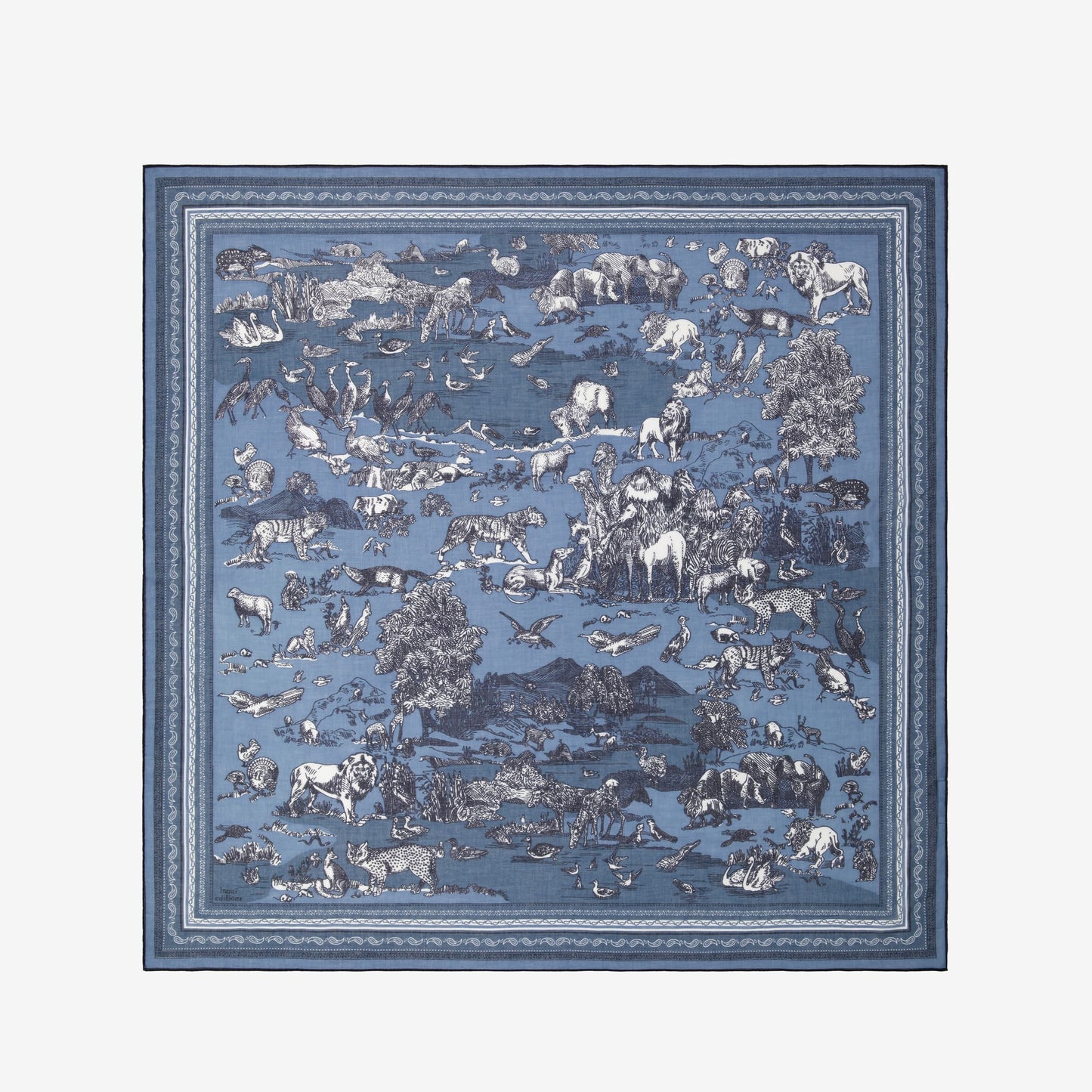 Scarf Ca212re04 Blue