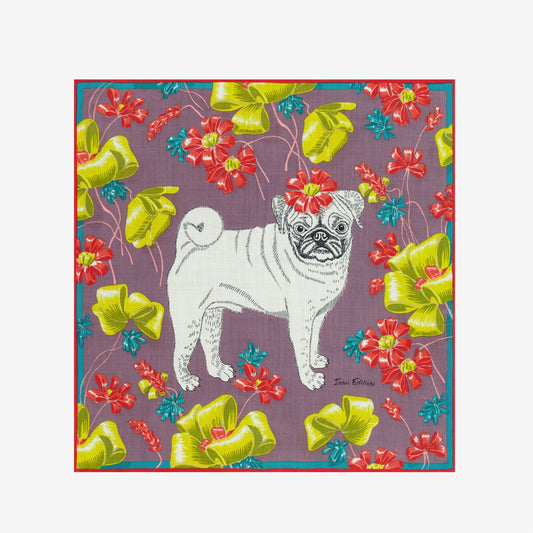 Scarf Ca22tou05 Purple