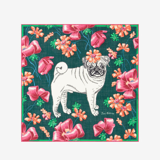 Scarf Ca22tou26 Emerald