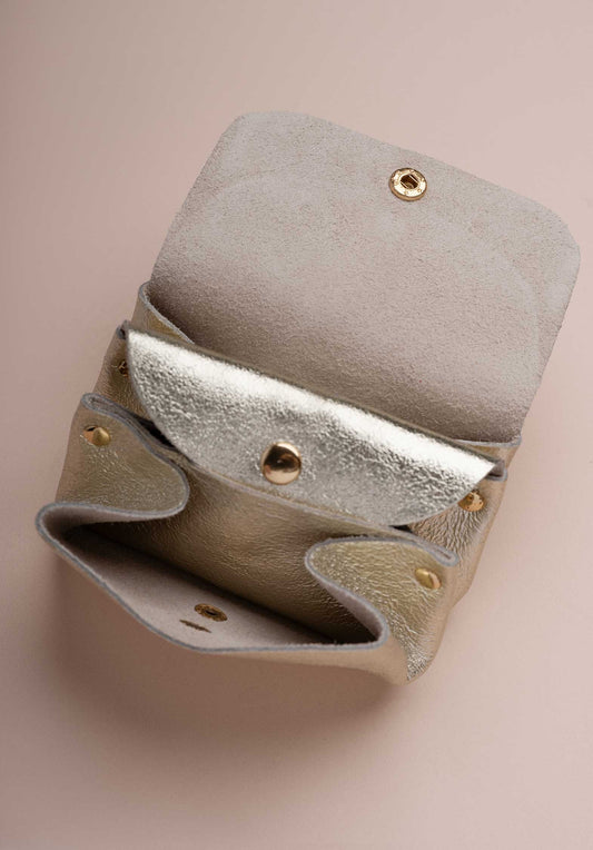 Pouch Lcl42 Accordeon Porte Platine