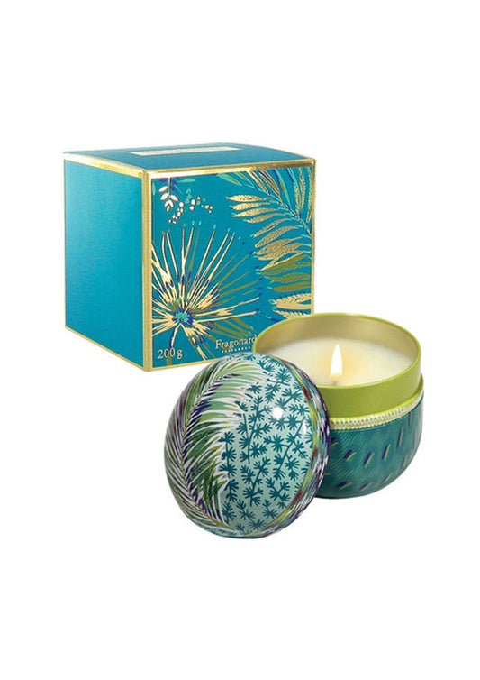 Candle  Jfb206 Coriandre-Lemongrass