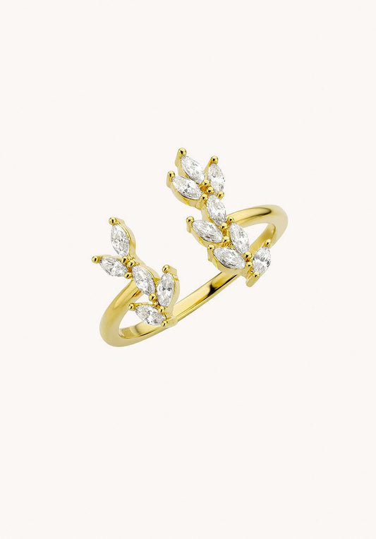 Ring Ba-254g Metal