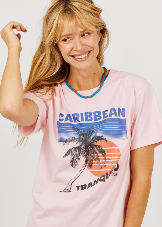 AP-615 CARIBBEAN T-POUDRE 17_01.jpg