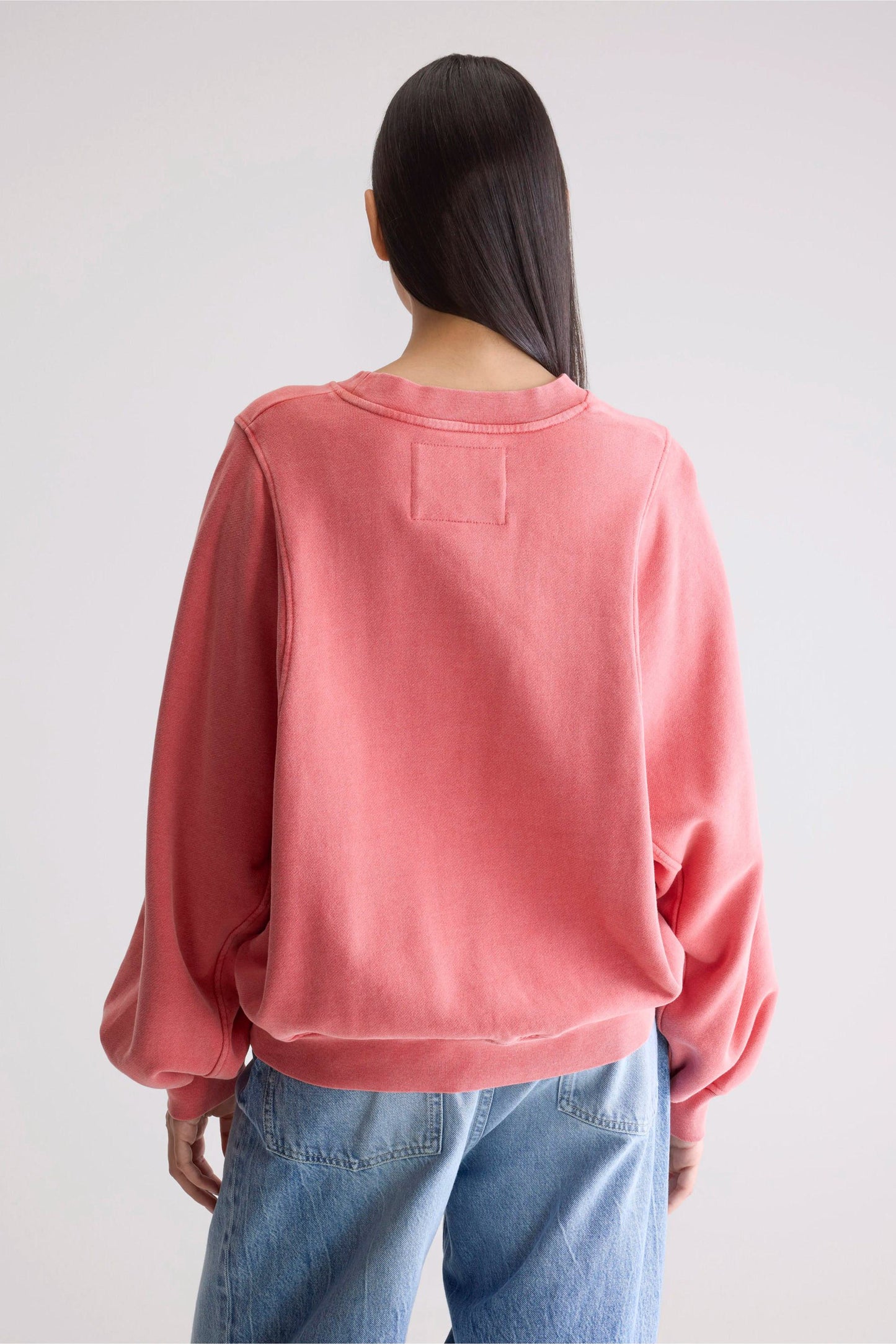 Bw252309 T1509 Filosa T1509 Sanguine