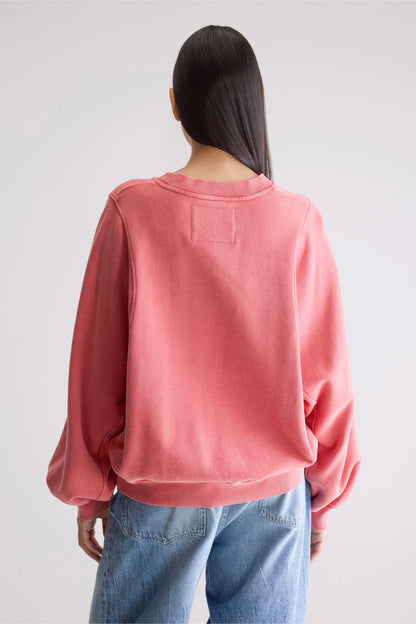 Bw252309 T1509 Filosa T1509 Sanguine