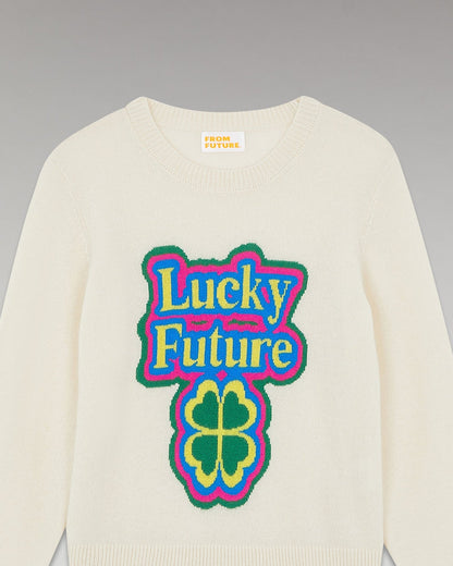 From Future | Lucky Future Short Cashmere Sweater - Grey Chine Gris-Chine
