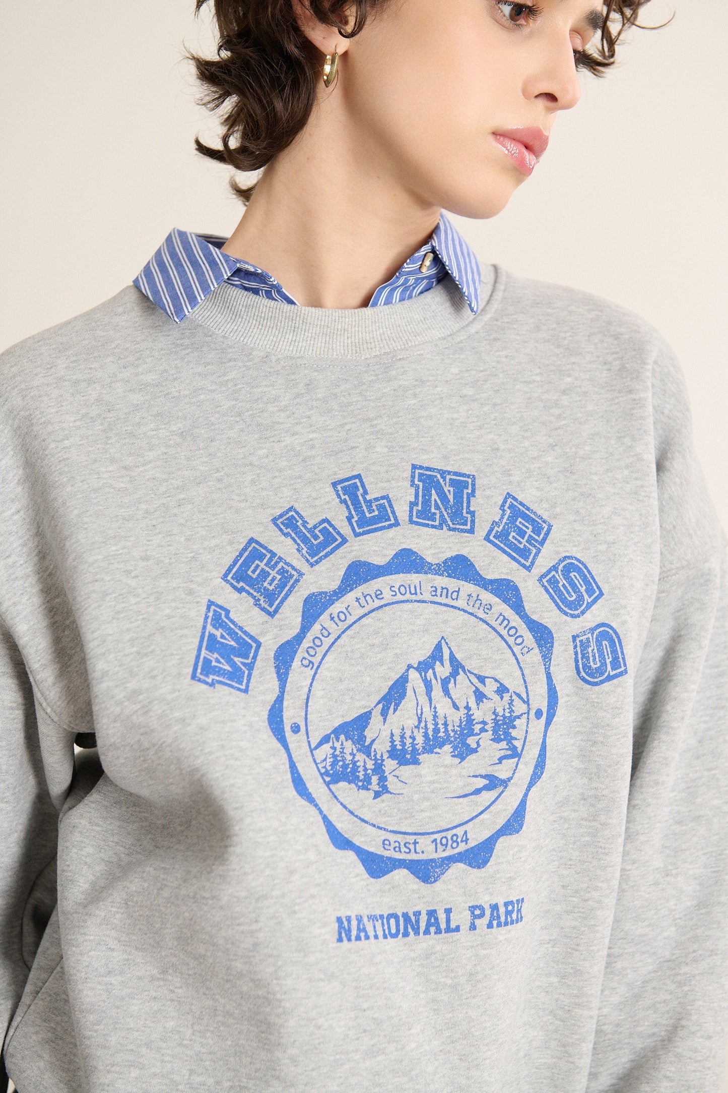 Sweatshirt Berlin 2090 Gris