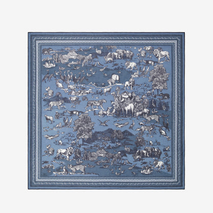 Scarf Ca212re04 Blue