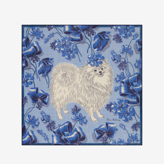 Scarf Ca22tou04 Blue