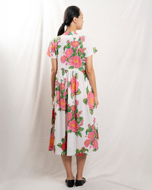 Women's Dress Premium Cotton Poplin -  Blush Camelia