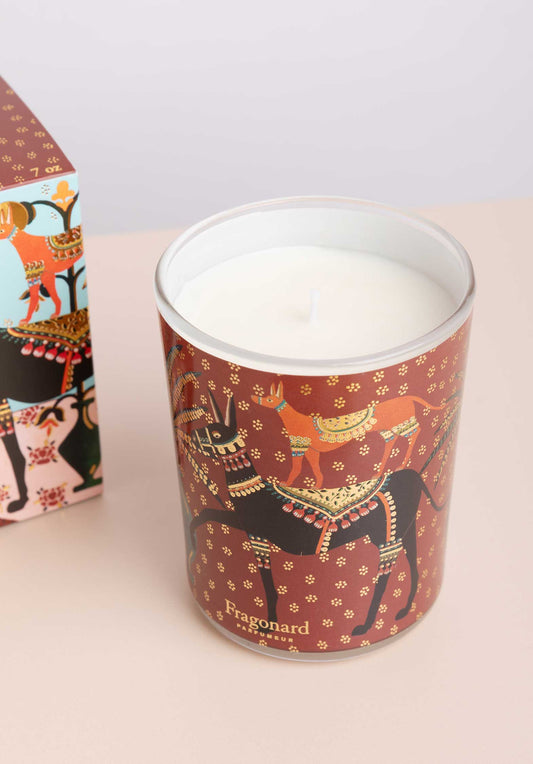 Bougie Noel 2023 Bo2 Bo246 Ami-Cheri