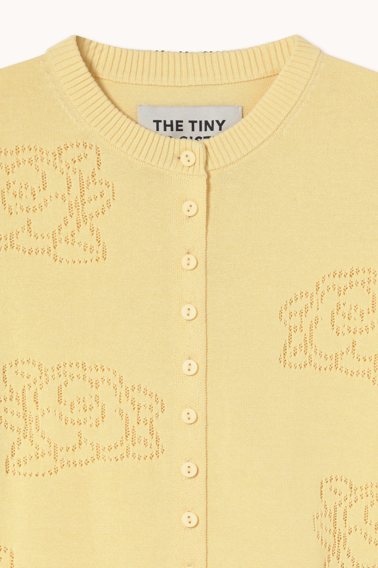 THE TINY BIG SISTER-669 FLOWERS LARA CAR-DUSTY YELLOW_04.jpg