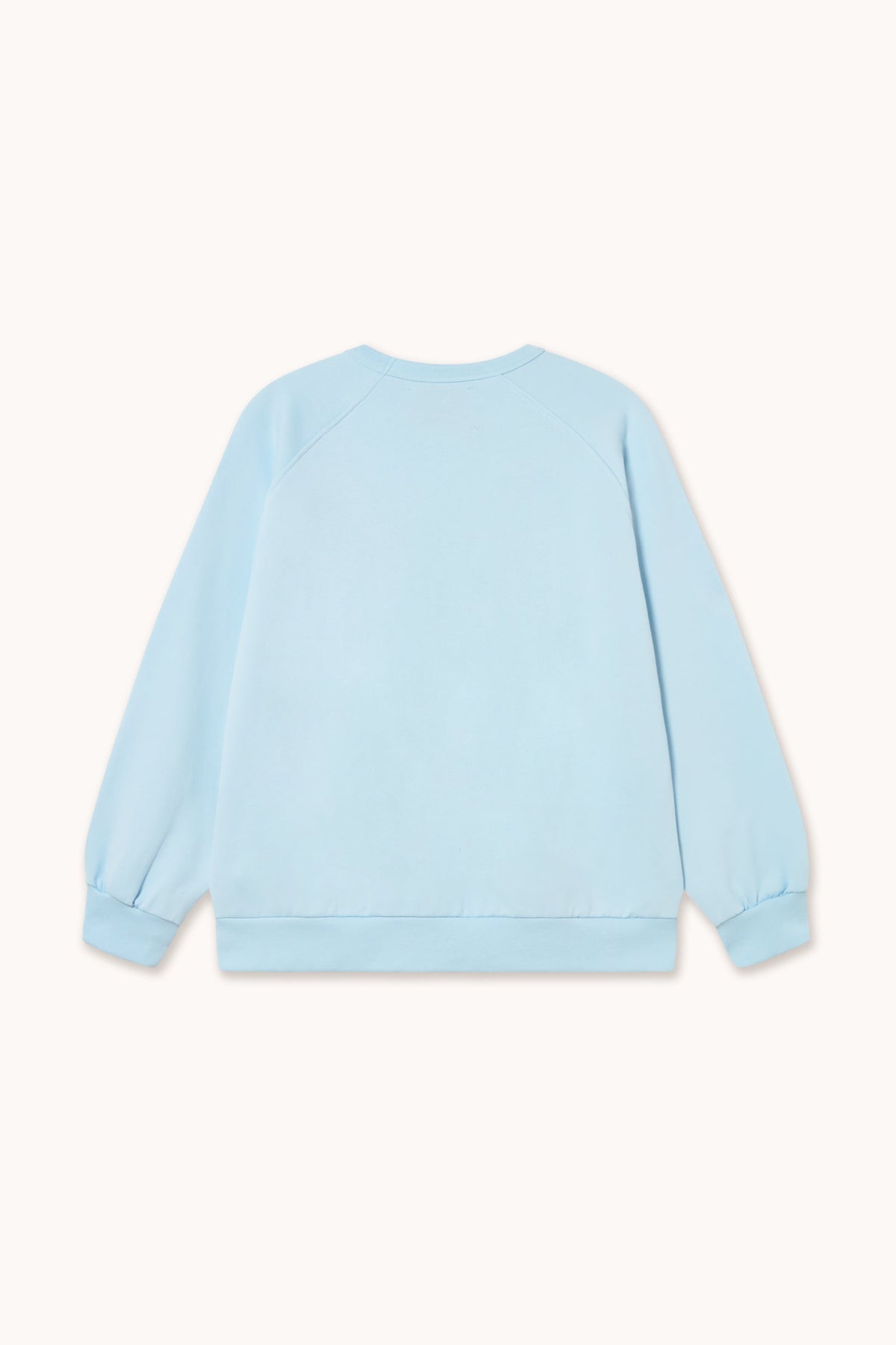 THE TINY BIG SISTER-669 ROSES SWEATSHIRT-PRETTY BLUE_02.jpg