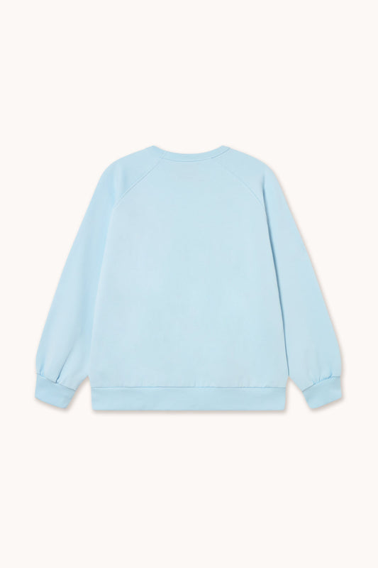THE TINY BIG SISTER-669 ROSES SWEATSHIRT-PRETTY BLUE_02.jpg