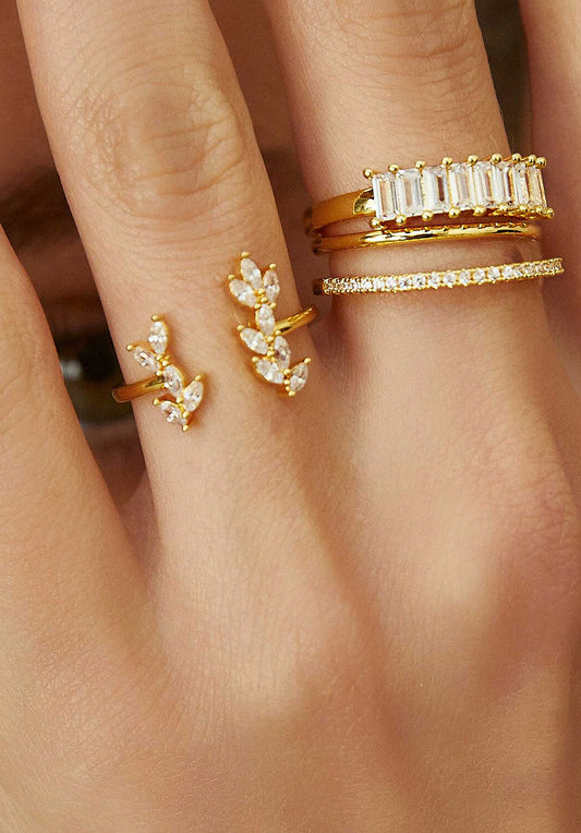 Ring Ba-254g Metal
